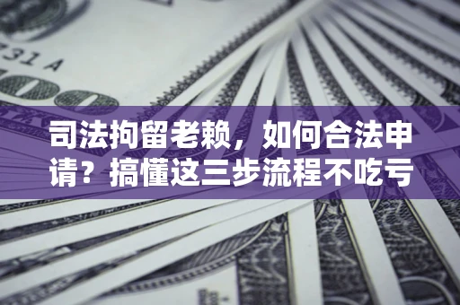 北京司法拘留老赖，如何合法申请？搞懂这三步流程不吃亏！