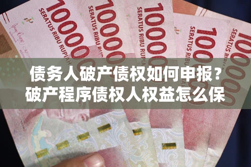 北京债务人破产债权如何申报？破产程序债权人权益怎么保障？