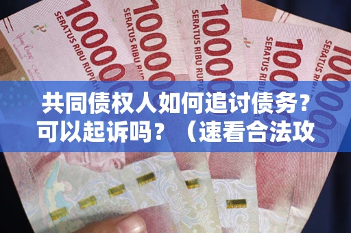 北京共同债权人如何追讨债务？可以起诉吗？（速看合法攻略）