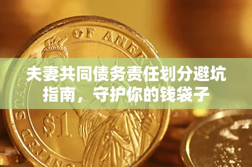 北京夫妻共同债务责任划分避坑指南，守护你的钱袋子